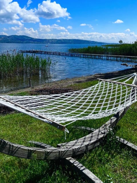 listing card gallery